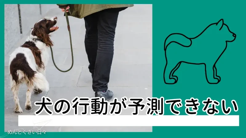 犬の散歩がめんどくさいのは犬の行動が予測できないから