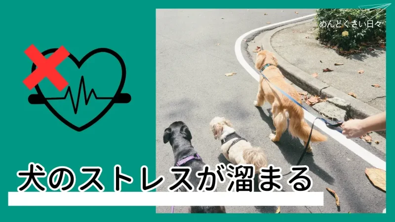 犬の散歩がめんどくさいとやめると犬のストレスが溜まる