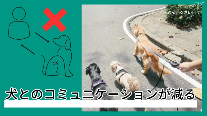 犬の散歩がめんどくさいとやめると犬とのコミュニケーションが減る