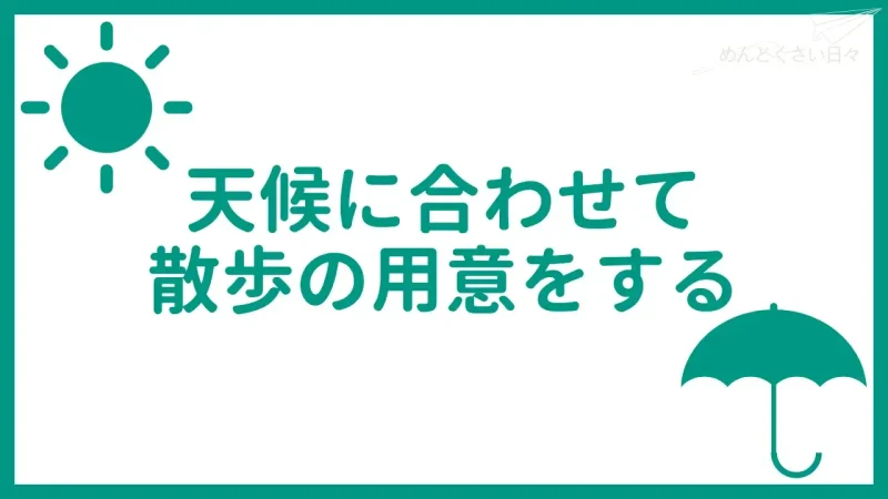 犬の散歩がめんどくさいときは天候に合わせて散歩の用意をする