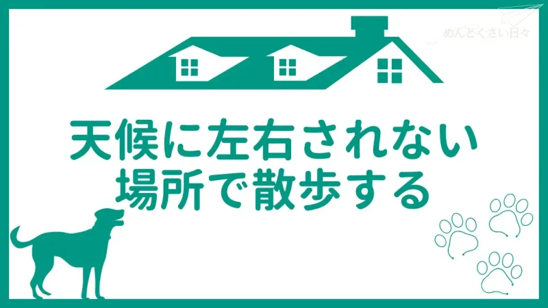 犬の散歩がめんどくさいときは天候に左右されない場所で散歩する