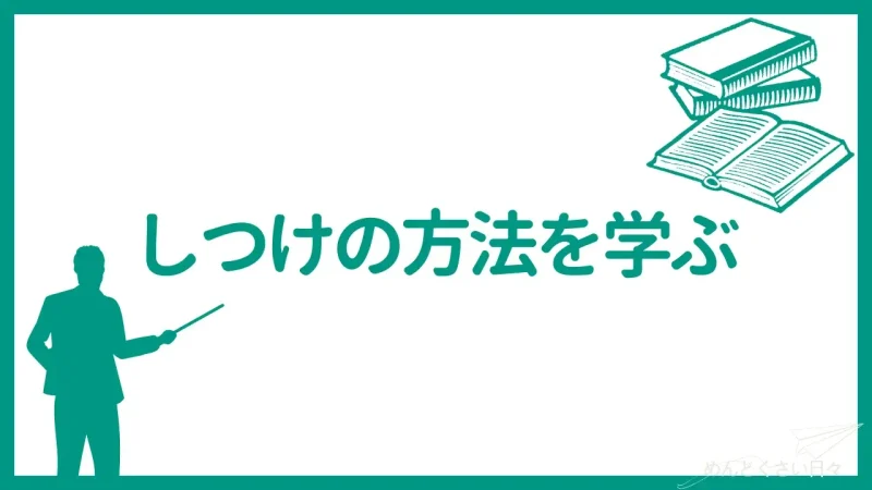 犬の散歩がめんどくさいときはしつけの方法を学ぶ